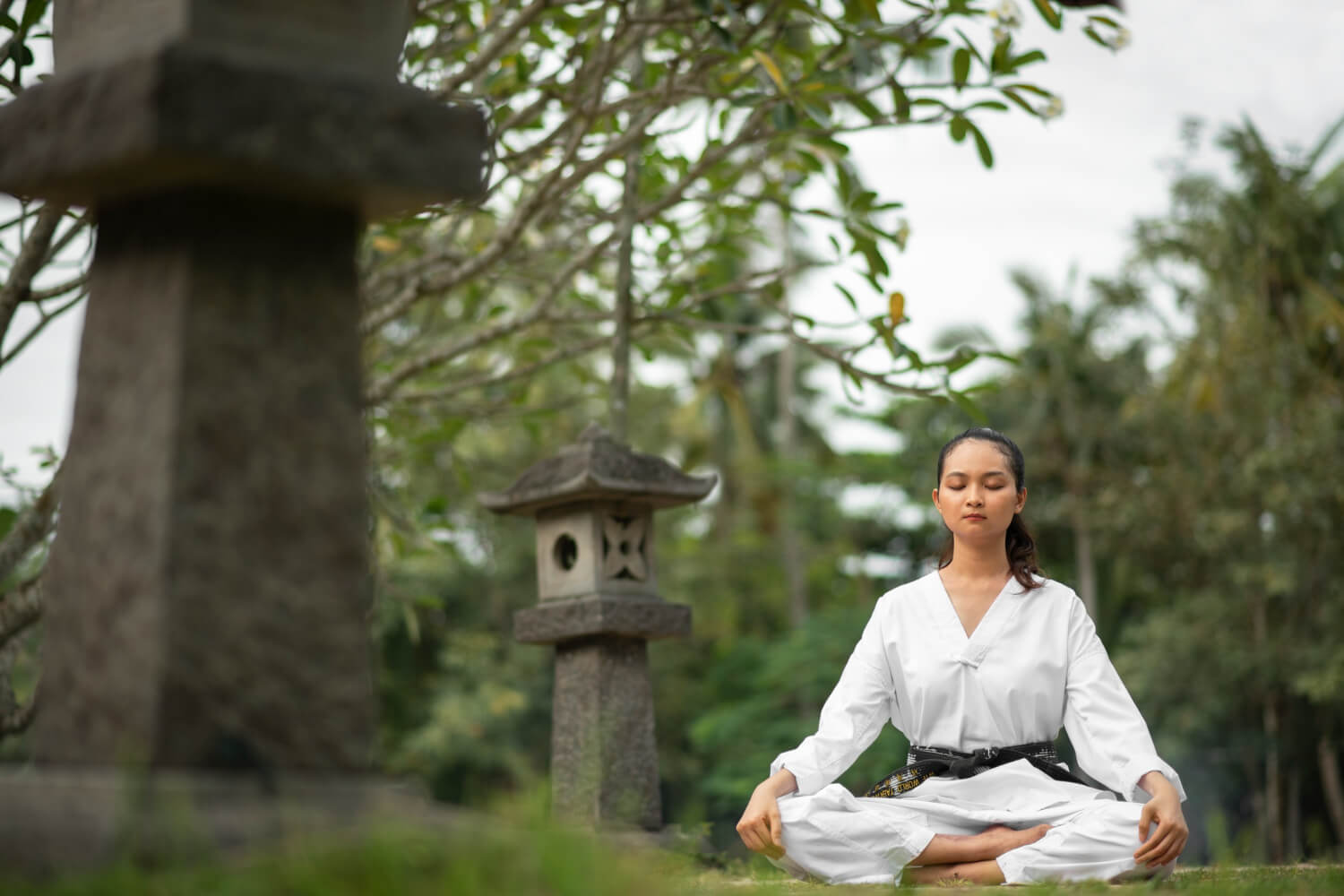 Zen Revolution: Creating Environments That Promote Inner Peace